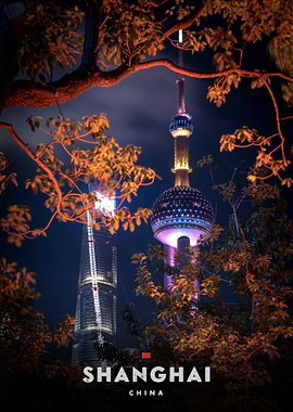 Shanghai Skyline at Night