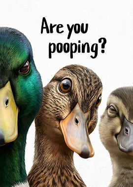 Funny Three Ducks Bathroom