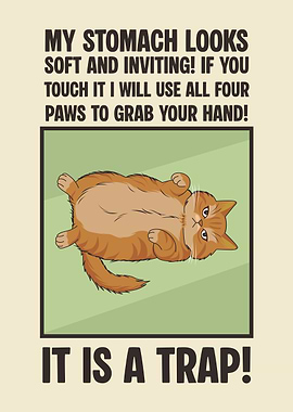 Funny Cat Quote Belly Trap - It Is A Trap!