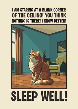 Funny Cat Quote Staring Into The Void