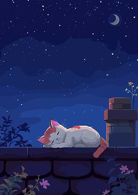 Cat Sleeping on a Wall Under the Stars