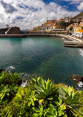 Coastal Town with Lighthouse and Agave Plants