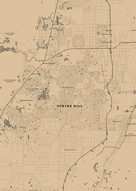 Spring Hill, Florida