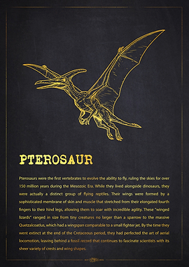 Pterosaur Dinosaur