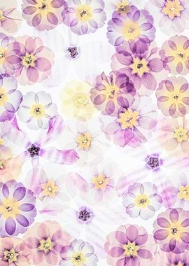 Overlayed Floral Pattern