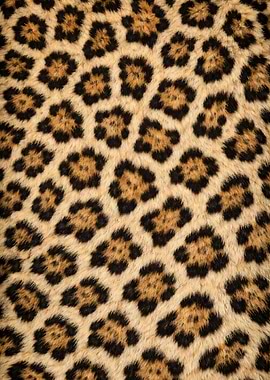 Leopard Print Texture