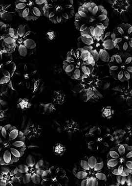 Black and White Floral Pattern