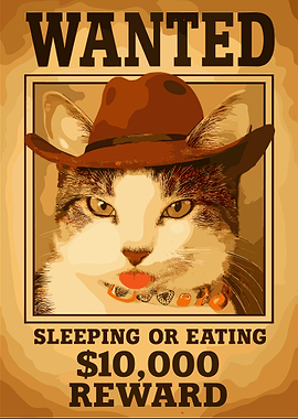 Wanted cat funny