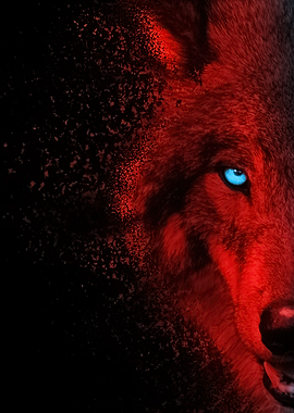 Red Wolf with Blue Eyes