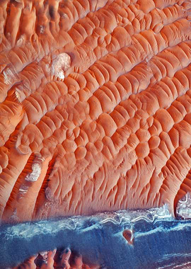 Martian Dunes and Frost