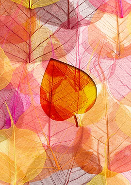 Skeletonized Leaves Background