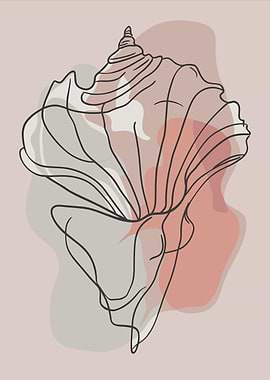 Minimalist Seashell Line Art