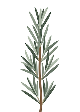 Green Rosemary Sprig