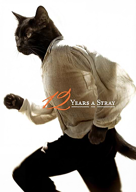 12 Years a Slave Cat Parody Movie Poster