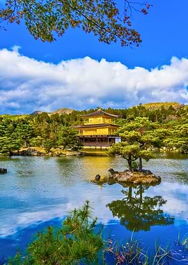 Golden Pavilion Reflection in Pond
