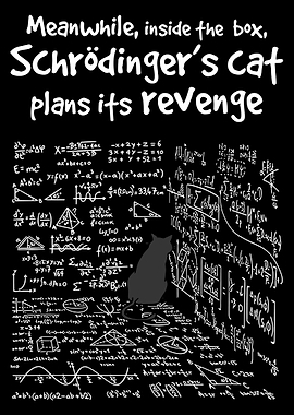 Schrödinger’s Cat Poster, Funny Quantum Physics Wall Art, Nerd Science Humor Print