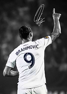 Zlatan Ibrahimovic Portrait