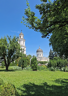 Church bell tower and dome with trees