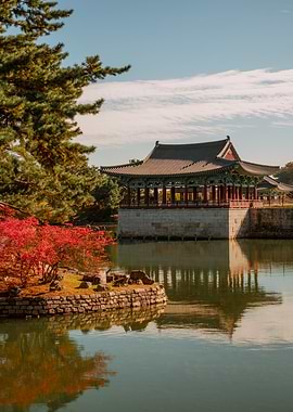 Korean Temple Pond in Autumn