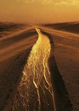 Golden Desert River