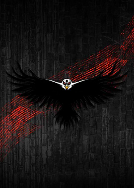 Black Eagle with Red Streaks