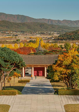 Autumn Path to Traditional Korean Gate