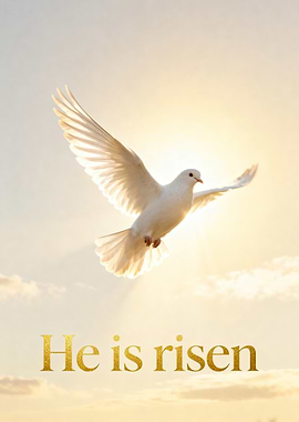He is Risen Dove