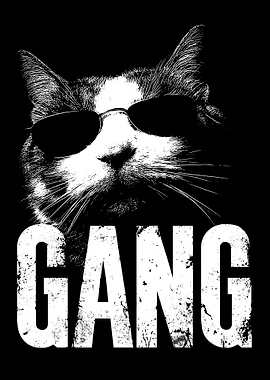 Cool Cat Wearing Sunglasses