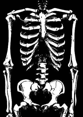 Black and White Skeleton Illustration