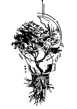 Tree Growing Inside Broken Light Bulb