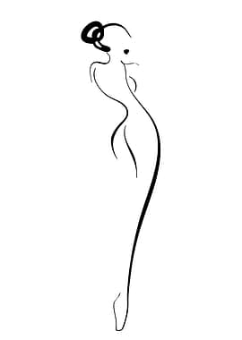 Elegant Fashion Silhouette