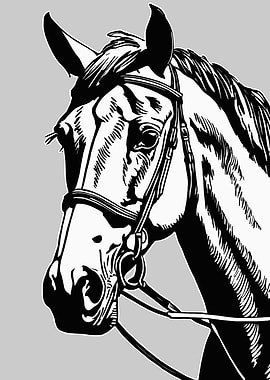Black and White Horse Portrait