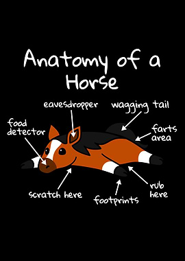 Funny Horse Anatomy Illustration