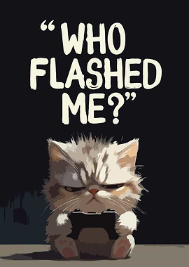 Grumpy Cat Gamer 'Who Flashed Me?'