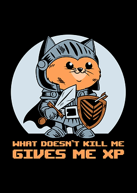 What Doesn’t Kill Me Gives Me XP Cat