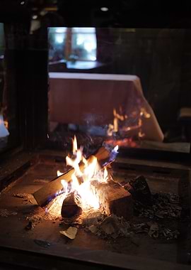 Cozy Fireplace with Burning Logs Gstaad Olden