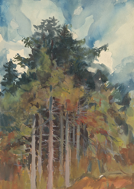 Watercolor painting of pine trees against a cloudy sky