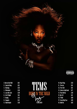 Tems Born in the Wild Album Cover