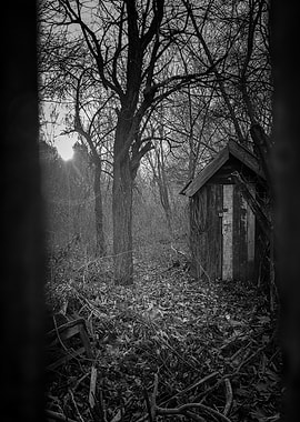 Abandoned Outhouse in a Dark Forest