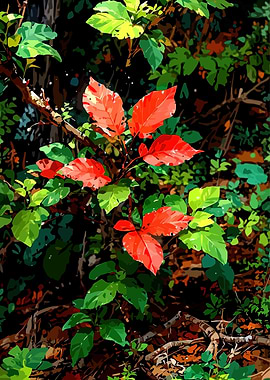 Vibrant Red and Green Leaves in Forest