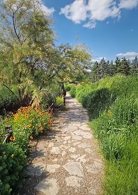 Stone Path Through a Lush Garden