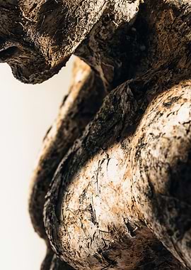 Cracked stone human body sculpture