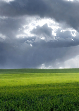 Stormy Sky Over Green Field
