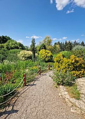 Garden Path with Lush Greenery