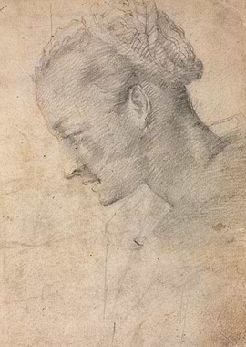 Pencil Sketch of a Woman's Head