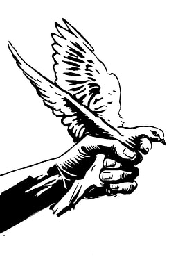 Hand Releasing a Dove