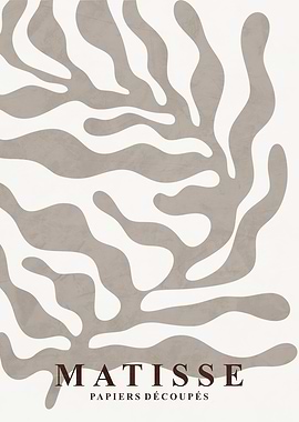 Matisse Papiers Découpés Poster