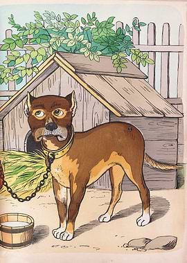 Dog in a yard with a doghouse