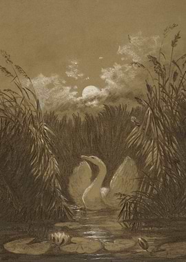 Swan in moonlit reeds