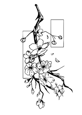 Cherry Blossoms with Geometric Frames